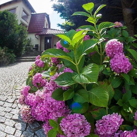 Villa Jasmin Зелёна-Гура Экстерьер фото